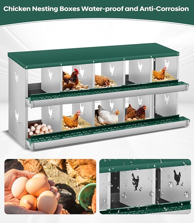 10 Compartment Nesting Boxes for Chickens, Chicken Nesting Box to Protect Eggs, Chicken Laying Boxes, Easy to Clean and Install