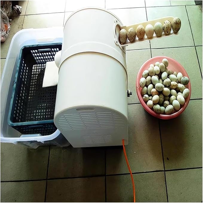 2300 Pcs/H Egg Washing Machine, Automatic Egg Washer Machine with Roller Brush, 304 Stainless Steel Egg Washer for Fresh Eggs, Egg Cleaner for Chicken, Duck, and Goose Eggs