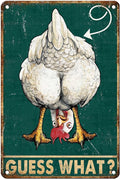Vintage Chicken Tin Sign Guess What Retro Coop Metal Sign Funny Chicken Lovers Nostalgic Rustic Wall Decor For Home Farmhouse Coop Poultry House Outdoor Kitchen Cafe Bar Yard 12 * 8In