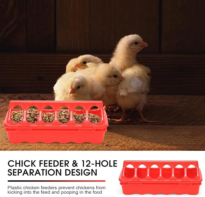 Chicken Brooder Box,Chick Starter Kit with Chicken Brooder Heating Plate, Chick Perch, Flip Top Poultry Feeder, Baby Supplies for Baby Chicks, Duck and Quail