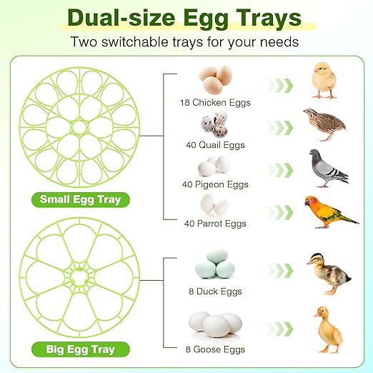18 Chicken Egg Incubator with Temperature Control, Humidity Display, Auto Egg Turner, Egg Candler, 2 Size Egg Trays, Chick Incubaotrs for Hatching Eggs Digital Incubator for Chicken, Duck Eggs