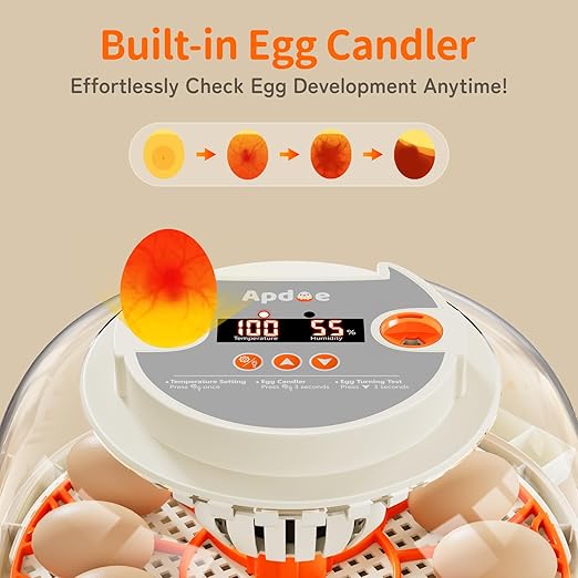Egg Incubator with Temperature and Humidity Control, Automatic Egg Turning, Egg Candler, External Water Bottle, Adjustable Air Vent, 360° Clear View, for Chicken, Duck & Quail Eggs, APDOE HatchPro 12