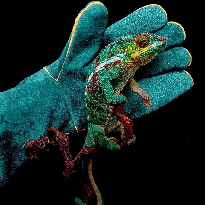 23inch Animal Handling Gloves, Animal Control Gloves Bite Resistant Snake Proof Cowhide Reinforced Leather Protection Dog Training Glove for Cats Scratch Reptiles Birds Falcon Grabbing