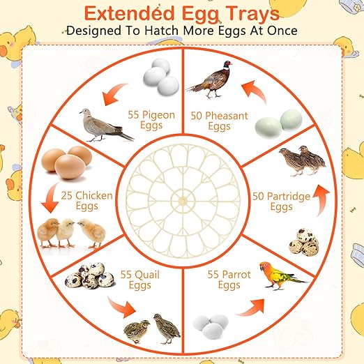 25 Egg Incubators for Hatching Eggs, Egg Incubator with Automatic Egg Turning and Humidity Control, Incubators for Hatching Eggs Chicken Quail Parrot Pigeon