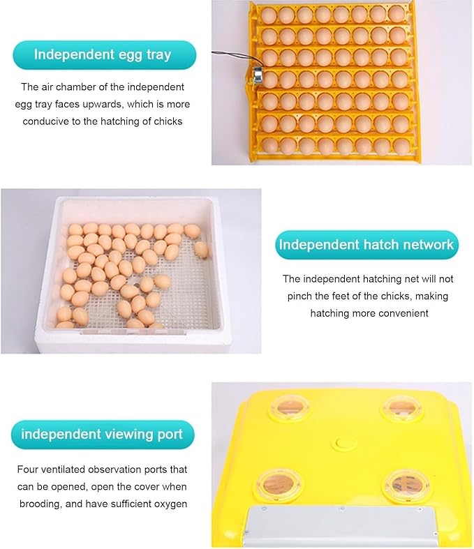 48-Egg Fully Automatic Digital Incubator - One-Touch Operation, Smart Egg Turner & Temperature Control for Chicken, Duck, Quail & Bird Eggs