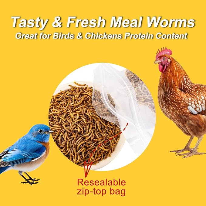 RANZ 5LBS Non-GMO Dried Mealworms for Chickens, High Protein Meal Worms, Premium Chicken Feed, Perfect Bird Food and Chicken Treats, Whole Large Mealworms for Wild Birds, Ducks, Fish
