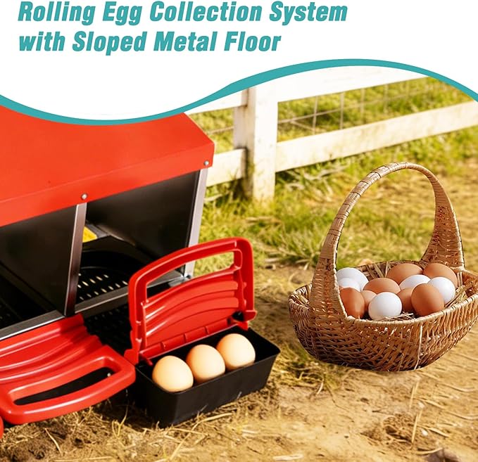 3-in-1 Roll Out Chicken Nesting Box with Removable Drawer – Green Metal Laying Nest for Hens, Easy Assemble, for Chicken Coop (Red)