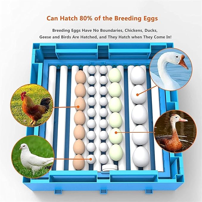Egg Incubator Automatic Turning Digital Machine Poultry Breeder with Temperature Control and LED Candler for Hatching Chickens Duck Quail Birds 320 Eggs