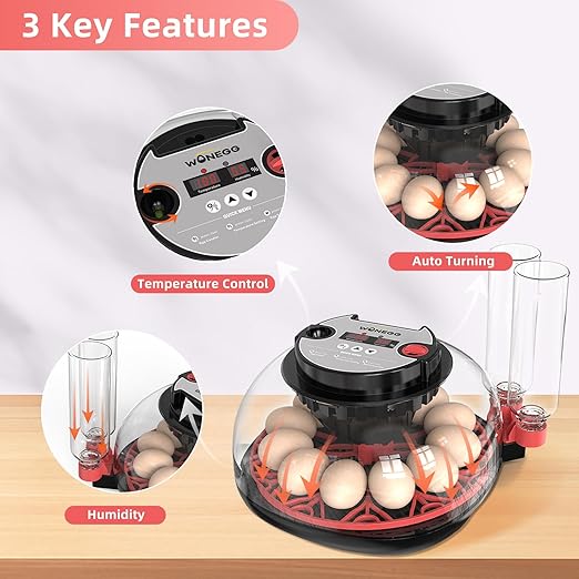 12 Egg Incubator for Hatching Chicken, Duck, Quail Eggs – 360° Visible Lid, Automatic Turning & Humidity Control, Built-in Egg Candler – Ideal for Home & Classroom Science Projects