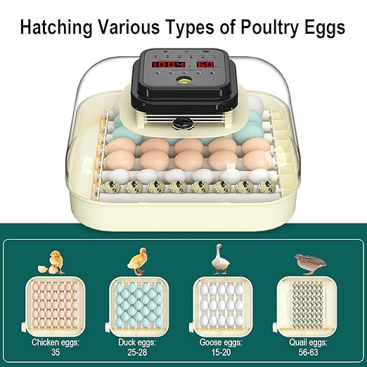 35 Egg Incubator with Automatic Egg Turning and Humidity Control, Incubator for Chicken Eggs, Quail, Duck Eggs, with Egg Candler