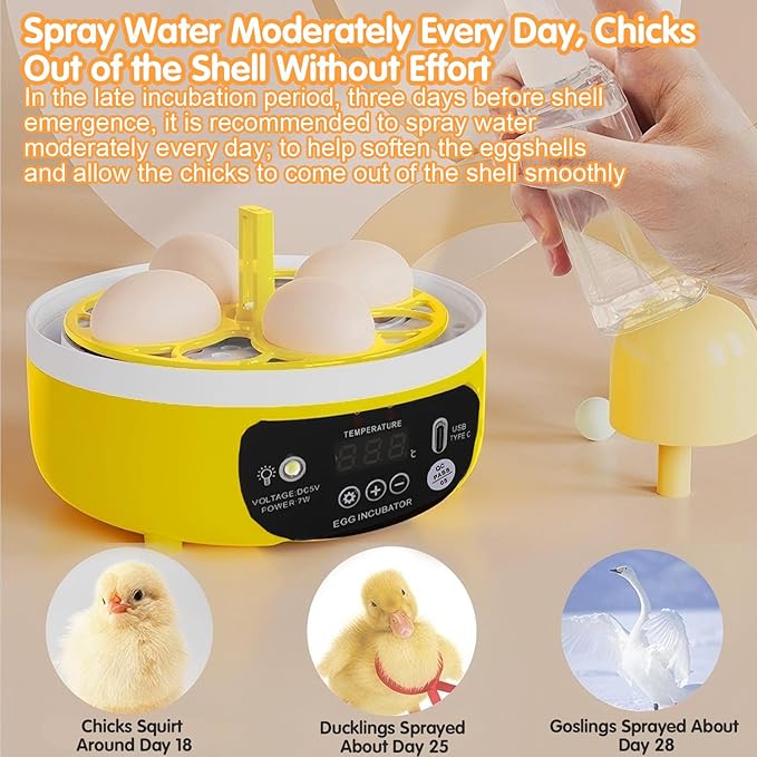 Tissting 4 Eggs Mini Incubator with Transparent Lid,7W Automatic Temperature Humidity Control,Household Small Poultry Hatching Machine,for Chickens Ducks Pigeons (Manual Turning)