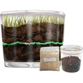 Worm Farm for Kids Shipped with Live Worms and Food - Observation Worm Farm Kit with Ecosystem, Soil, Mixing Sand, Magnifying Glass & More