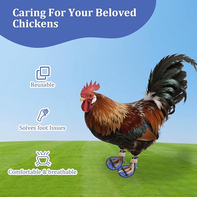 4 Pack Chicken Leg Splint with Toe Separator, Chicken Shoes for Injured Feet, Curled Toes Duck Chicken Leg Splint Poultry Leg Brace, for Chickens and Ducks and Other Poultry