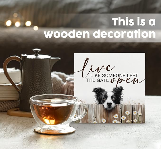 Border Collie Signs - Farm Cottagecore Animal Office Kitchen Bedroom Decor,Rustic Farmhouse Live like Someone Left the Gate Open Home Decor Wooden Signs,Border Collie Gifts for Women,8x8