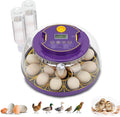 18 Egg Incubator for Hatching Eggs – With Automatic Egg Turning, Temp/Humidity Control, Egg Candler, Incubator Chicken, Duck, Goose, Quail, Parrot, Pigeon – For Home Farm Science Class Lab