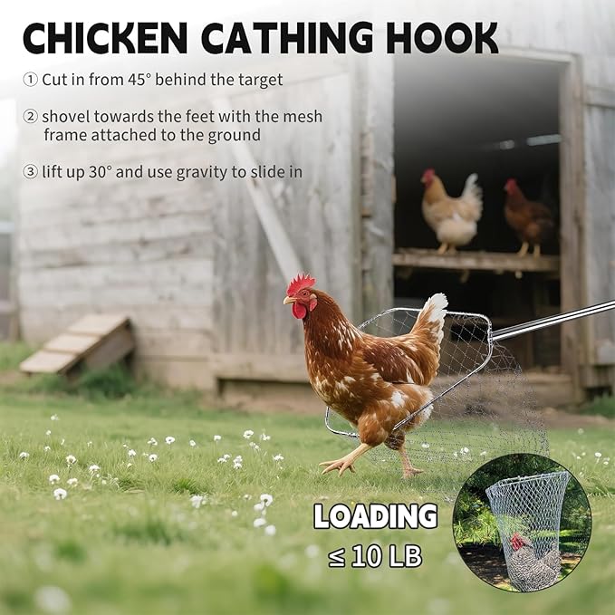 Chicken Net Catcher 3 in 1 Kit,Adjustable from 33" to 79" Chicken Net with 2 Folding Fish Nets & Chicken Leg Hook.Suitable for Catching Chicken,Fish,Birds,Cats,Poultry and Animals（15.3" x 23.2" Net）