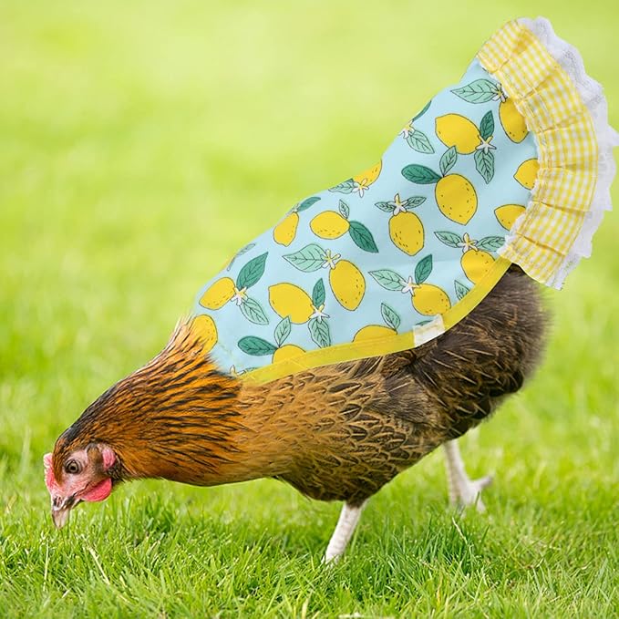 6pcs Hen Saddle Apron Waterproof Chicken Saddle Hen Apron with Elastic Chicken Jacket Straps Poultry Protector Wing Back Protector Print Feather Protective Jacket(A)