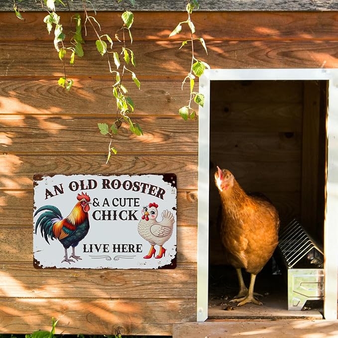 Funny Chicken Gifts for Women, An Old Rooster And A Cute Chick Live Here Aluminium Plate Signs, Humorous Chicken Decor for Farmhouse Coop Kitchen, Rustic Wall Art Decorations 8 X 12 Inch Metal Signs