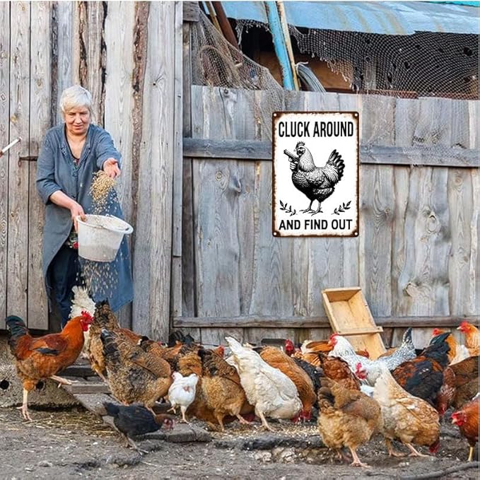 Funny Chicken Stop Staring My Cock Tin Sign for Farm Chicken Coop Farmhouse Kitchen Vintage Wall Decor 8x12 Inch