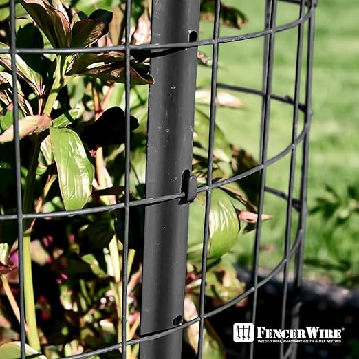 Fencer Wire 16 Gauge Green Vinyl Coated Welded Wire Mesh Size 2 inch X 3 inch, Black, 2x50 ft