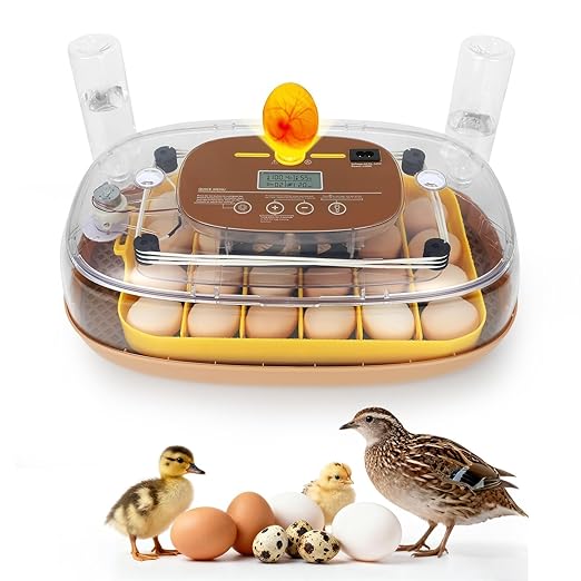 3rd Gen - 24 Egg Automatic Incubator, Stage-Based Adaptive Humidity with Auto-Refill, Stable Temp Control, Flexible Spacing, Adjustable Auto Turning & Lockdown, Custom Incubation Days, Candler, Alarm