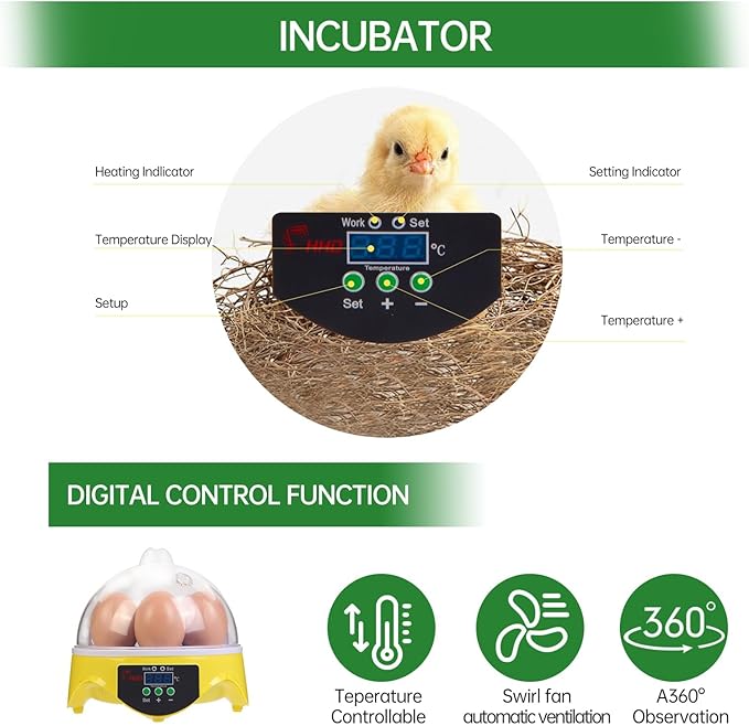 7-Egg Mini Egg Incubator with 360° View, Educational Hatching Kit for Kids, Classrooms & Families, Automatic Temperature Control & Manual Humidity Control, Suitable for Chicken, Duck & Quail Eggs