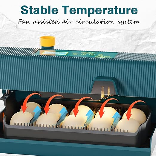 Incubator for Hatching Chicks, 10 Eggs Incubators with Automatic Egg Turning, Temperature and Humidity Control, Egg Candler, Hatching Incubator for Small Poultry, Chicken, Ducks (10 Eggs)