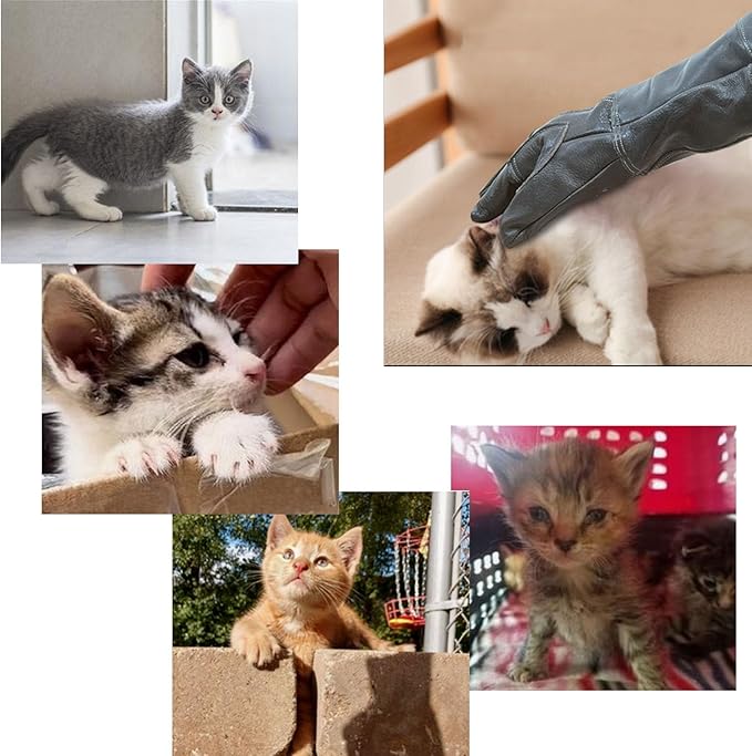 Animal Handling Gloves Bite Resistant, 60cm/ 23.6in Bite Proof Glove for Gardening, Grabbing Cat/Dog/Bird/Snake/Lizard/Falcon/Reptile, Anti-Bite Work Gloves (Upgrade, Deep Color)