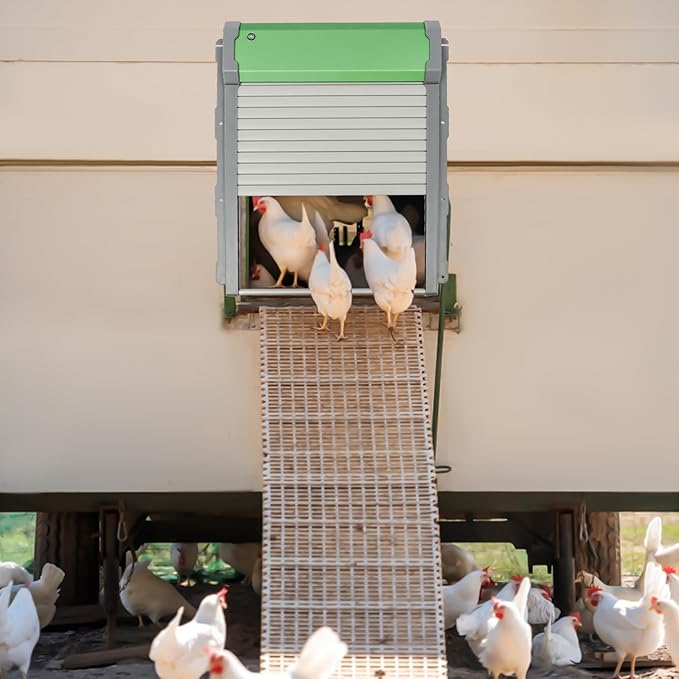 Automatic Chicken Coop Door Solar Powered,Smart Anti-Pinch Aluminum Automatic Chicken Door with Timer and Light Sensor,Range 40M Remote Control Solar Chicken Coop Door,Waterproof