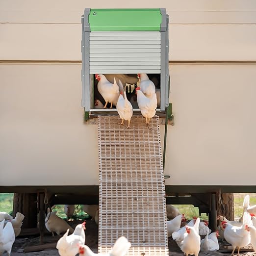 Automatic Chicken Coop Door, Solar Powered Chicken Coop Doors with Light Sensor, LCD Screen Electric Auto Chicken Coop Door, Aluminum Solar Chicken Door, Anti-Pinch, Weatherproof