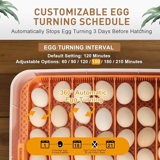 2nd Nest - 56 Egg Incubator for Breeders, Fully Automated, Accurate Humidity & Temp Control, Chick Separator, Flexible Egg Spacing, Custom Incubation Days, Auto Turning & Auto Stop, Easy Monitoring