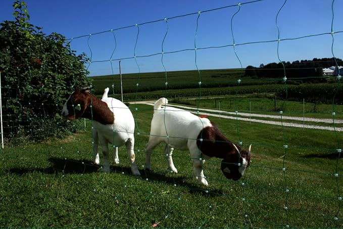Starkline Classic Electric Netting- Electric Fence Protects Sheep, Goats, Gardens, beehives, and More. Electric net Fence Keeps preditors Out. (35" x 82')