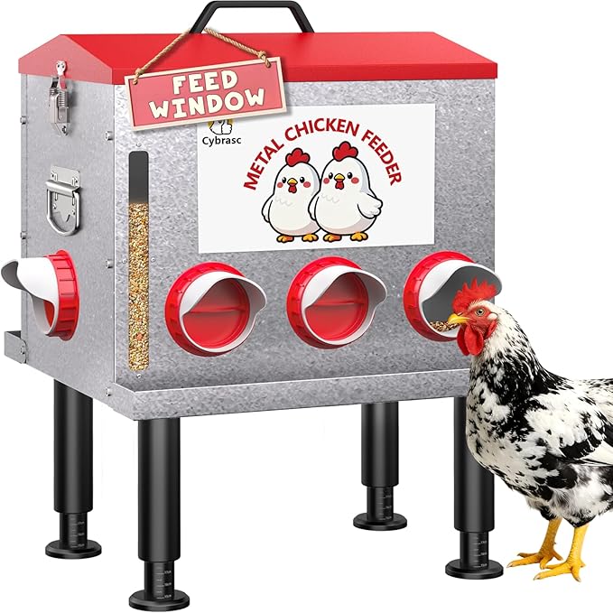 10-Gal 55LB Metal Chicken Feeder with Window, Dual No-Waste & Rat-Proof Design, Automatic Large Chicken Feeder for Outdoor Coops, Rust-Proof Alloy Steel Poultry Feeder with Adjustable Legs