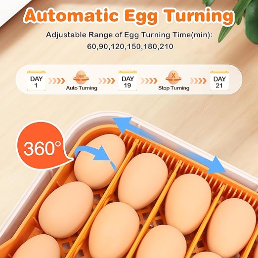 56 Egg Incubator for Hatching Eggs, Egg Incubators with Automatic Egg Turning, Temperature and Humidity Control, Egg Candler, Automatic Water Bottle Refill, Incubator for Chicken, Ducks, Goose