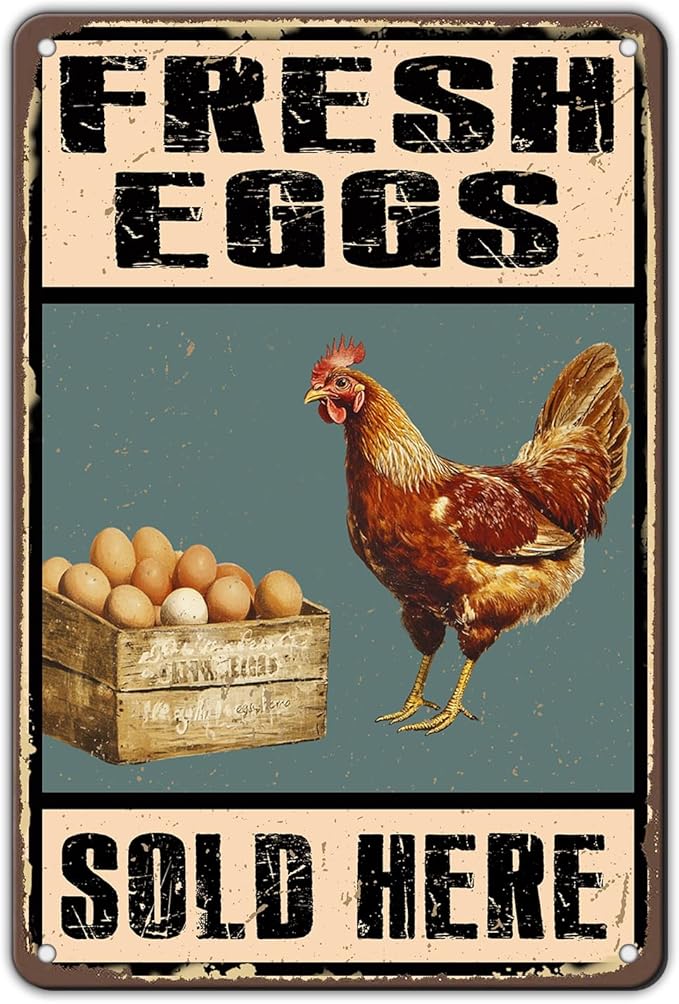 Rustic Farm Fresh Eggs Sold Here Tin Signs Vintage Country Chicken Hen Rooster Egg Metal Sign Funny Chicken Coop Metal Poster 12x8 Inch