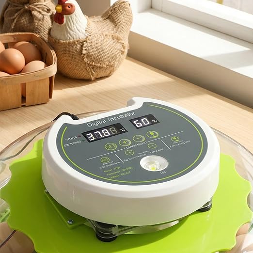 18 Eggs Professional Egg Incubator - Automatic Turning, Precise Temperature & Humidity Control, Egg Candling, 360 - Degree View, Ideal for Farms and Laboratories