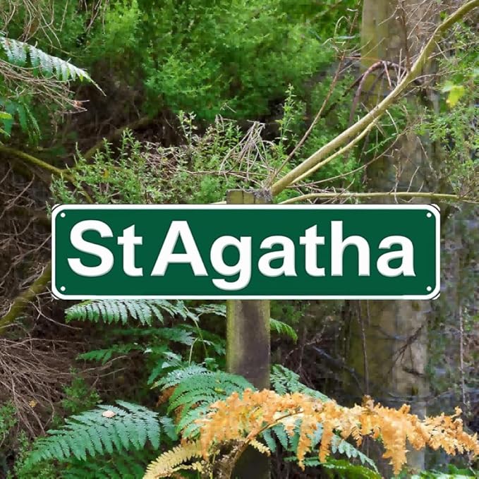 Decorative Tin Signs 16 * 4 Inch - StAgatha Rustic Town Sign - For Farmhouse, Garden, Garage - rustic decor, vintage garden decor, outdoor signs
