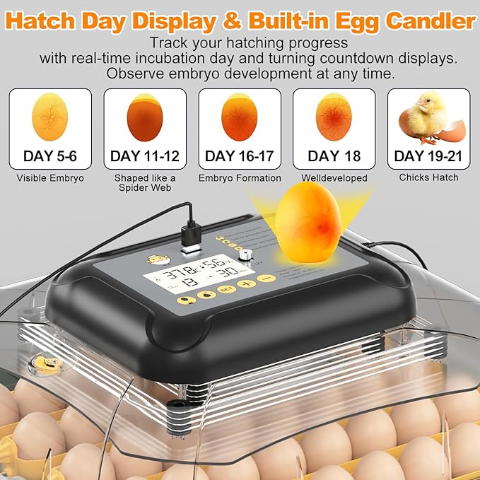 63 Egg Incubator for Hatching Eggs with Auto Egg Turning, High Precision Temperature & Humidity Display, Hatch Day, Egg Candler, Upgraded Motor, Incubator for Hatching Chickens, Higher Hatch Rate