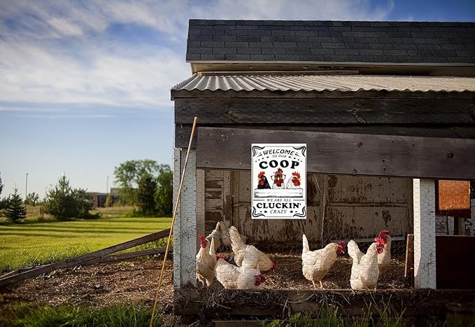 Funny Chicken Sign – Retro Tin Sign for Coop, Farmhouse, or Kitchen Wall, Cute Farm Animal Decor for Chicken Lovers, 12x8 Inch