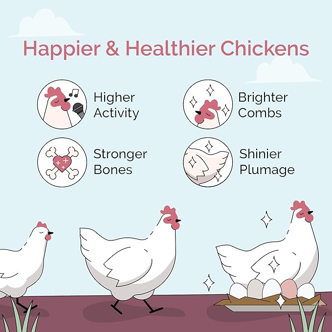 Mile Four Oyster Shell for Chickens (50 lbs) Calcium Supplement for Chickens, 100% Natural Limestone Calcium Carbonate, Strong Eggshell & Bone Boost