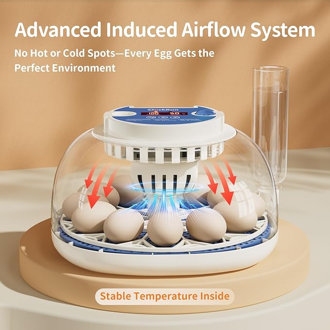 12 Egg Incubator with Temperature and Humidity Display, Automatic Egg Turning, Egg Candler, Automatic Water Refill, for Chicken, Quail & Duck Eggs, Perfect for Home, Farm, Classroom, Lab Incubators