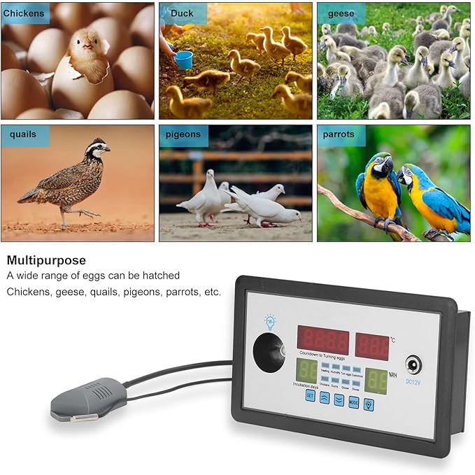 Intelligent Incubator Thermostat Controller, Digital 12V 100W for Chicken Duck Goose Quail Pigeon Parrot Peacock Eggs, ABS Shell 150x88x30mm