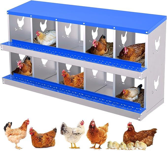 Chicken Nesting Boxes,10 Compartments Galvanized Steel Metal Laying Boxes,Pull-Out Egg Box Easy Egg Collection & Clean,Wall Mount Suitable for Farm Chicken House,Blue