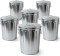 Plexon 5 Gallon Small Metal Trash Can with Lid Outdoor Galvanized Bucket with Lid 5 Gal Fireplace Ash Bucket for Wood Stove Storage Can for Dog Food Bird Seed Storage Container Rodent Pet Proof 6 Pack