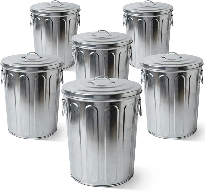 Plexon 5 Gallon Small Metal Trash Can with Lid Outdoor Galvanized Bucket with Lid 5 Gal Fireplace Ash Bucket for Wood Stove Storage Can for Dog Food Bird Seed Storage Container Rodent Pet Proof 6 Pack