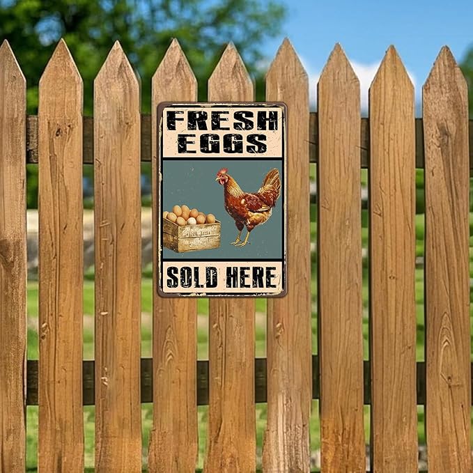 Rustic Farm Fresh Eggs Sold Here Tin Signs Vintage Country Chicken Hen Rooster Egg Metal Sign Funny Chicken Coop Metal Poster 12x8 Inch