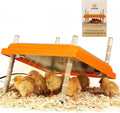 Brooder Heater for Chicks: Chick Brooder Heating Plate with Easy- Cleaning Plate Poultry Coop Heater Chicks Warmer 12" x 12" for 20 Chicks Adjustable Height Brooding Heater 22 Watts