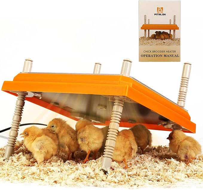 Brooder Heater for Chicks Height Adjustable: Heating Plate with Easy- Cleaning Plate Poultry Coop Warmer 10" x 10" for 15 Chicks