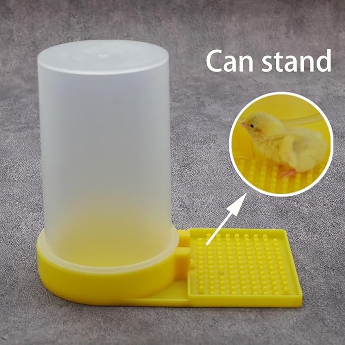 Baby Bird Button Quail Yellow Water Feeder