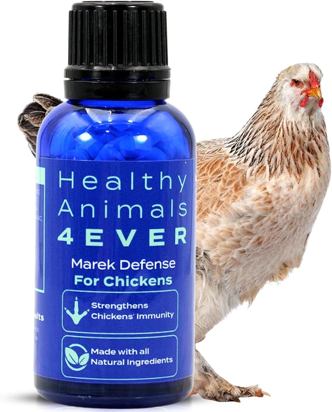 HA4E - Chicken Support for Marek’s Disease - Natural Support & Immune Strengthening - Highly Effective Homeopathic Formula - 350 Pellets